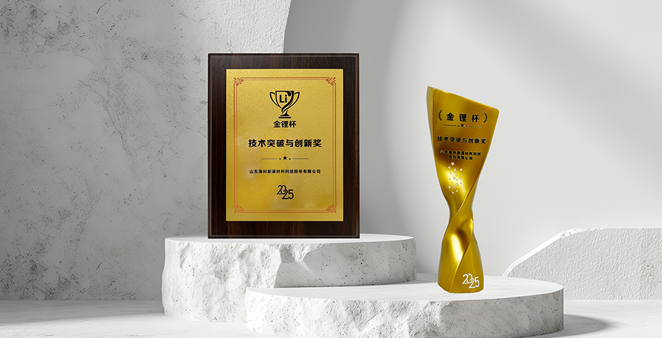 喜报 | 世界杯平台-世界杯（中国）一站式服务平台荣获真锂研究“技术突破与创新奖”